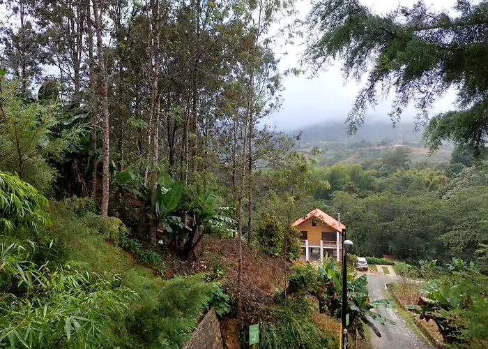 Chalet Los Pinos Constanza